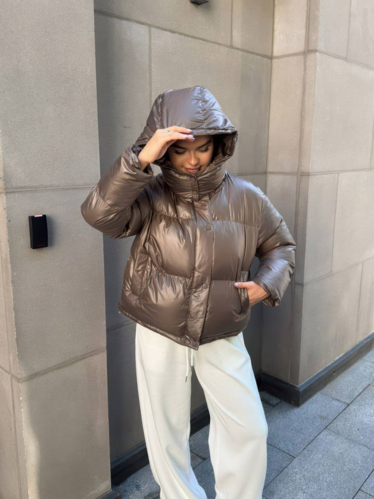 Куртка дутик с капюшоном LUC-A619T889 Куртка дутик с капюшоном LUC-A619T889