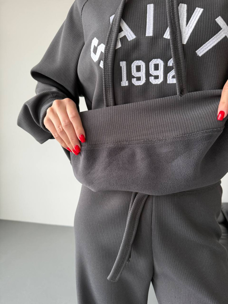 Спортивный костюм на флисе DMP-R1901T1100 Спортивный костюм на флисе DMP-R1901T1100