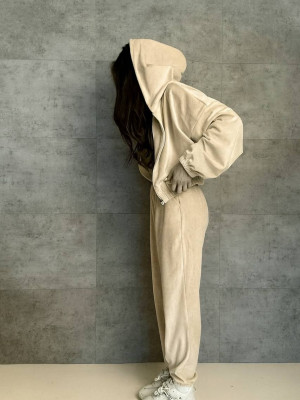 Велюровый спортивный костюм DMP-R1658T480