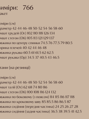 Брючный костюм IO-A766T800