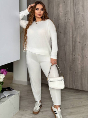 Прогулочный спортивный костюм ACHK-A1955T650