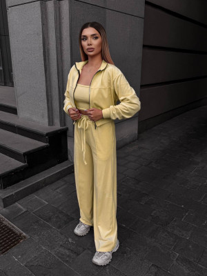 Велюровый костюм двойка VM-A10520T510