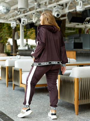 Спортивный велюровый костюм двойка LZ-A928T740
