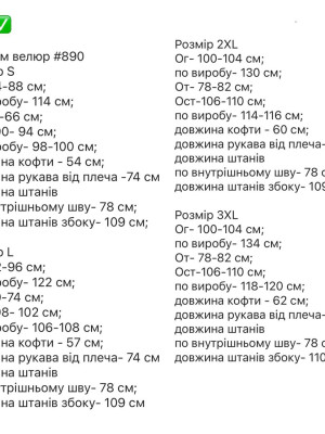 Велюровий спортивний костюм RK-A890T600