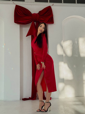 Жіноча сукня з бляшкою SF-A5675T500