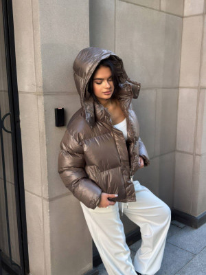 Куртка дутик с капюшоном LUC-A619T889