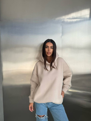 Стильное худи на флисе SF-A5683T600