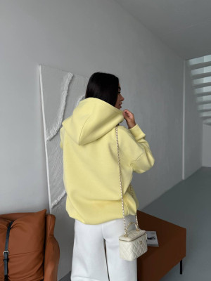 Стильное худи на флисе SF-A5683T600