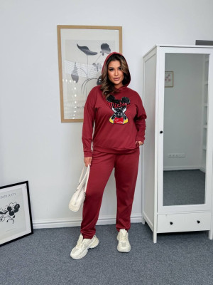 Трикотажный прогулочный костюм AD-A7847.1T340