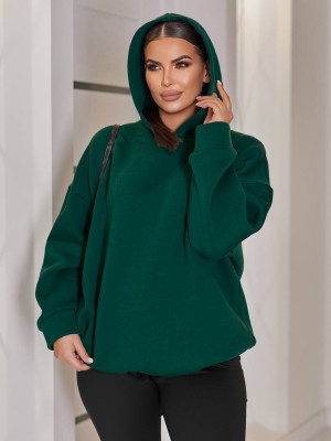 Теплый худи на флисе EY-A736T15