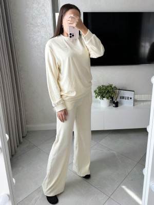 Велюровий прогулянковий костюм AMU-A028T1199