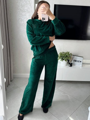 Велюровий прогулянковий костюм AMU-A028T1199