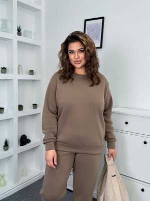 Прогулочный костюм на флисе AP-A298T490