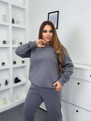 Прогулочный костюм на флисе AP-A298T490