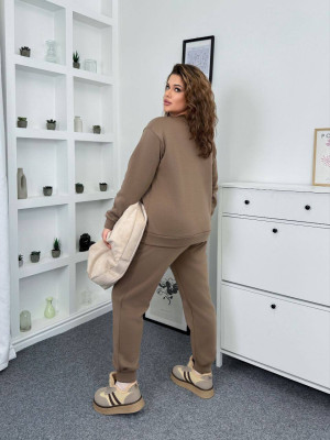 Прогулочный костюм на флисе AP-A298T490