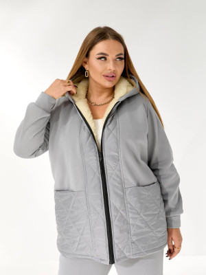 Теплий костюм двійка з начісом DV-AR5479T1035