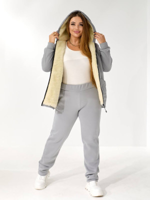 Теплий костюм двійка з начісом DV-AR5479T1035