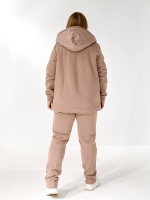 Теплий костюм двійка з начісом DV-AR5479T1035