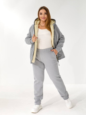 Теплий костюм двійка з начісом DV-AR5479T1035