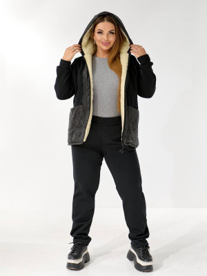 Теплий костюм двійка з начісом DV-AR5479T1035