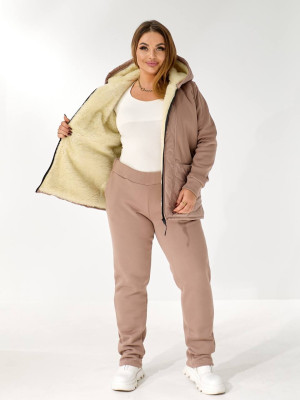 Теплий костюм двійка з начісом DV-AR5479T1035