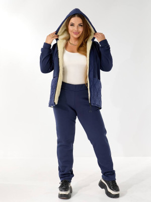 Теплий костюм двійка з начісом DV-AR5479T1035