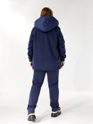 Теплий костюм двійка з начісом DV-AR5479T1035