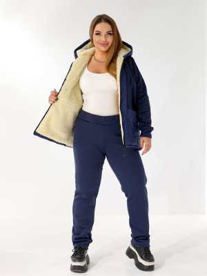 Теплий костюм двійка з начісом DV-AR5479T1035