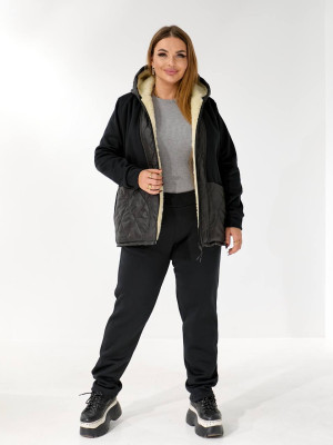 Теплий костюм двійка з начісом DV-AR5479T1035