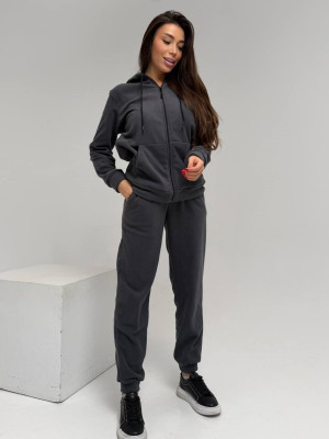 Флісовий спортивний костюм DAD-A213T630