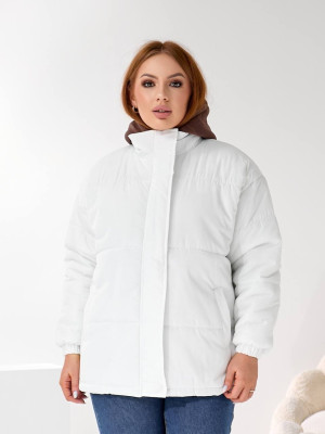 Зимний пуховик со вшитым воротничком DMP-P4091T920