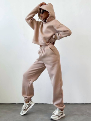 Спортивний костюм на флісі DMP-R1236T420