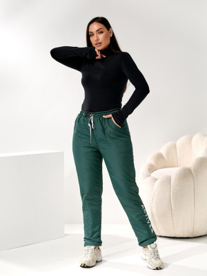 Теплые женские штаны DV-R4289T550