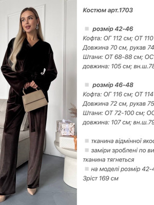 Бархатный костюм ANA-A1703T17