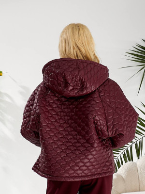 Модна куртка вітрівка OLD-A7017T25