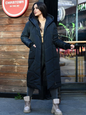 Довге демісезонне пальто DV-R4430T1200