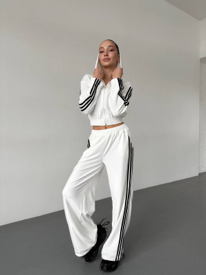 Велюровый спортивный костюм DMP-R1923T550