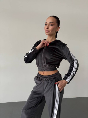 Велюровый спортивный костюм DMP-R1923T550