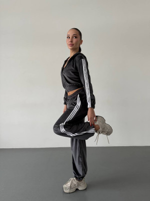 Велюровый спортивный костюм DMP-R1923T550