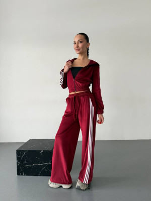 Велюровый спортивный костюм DMP-R1923T550