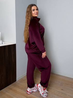 Велюровый спортивный костюм AD-A7992.1T600