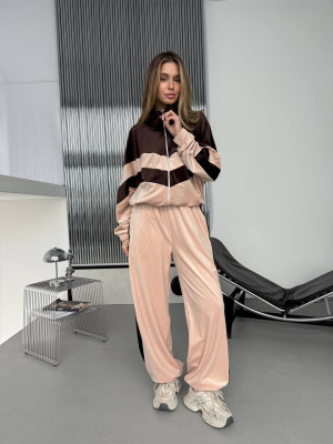 Велюровый спортивный костюм DMP-R1930T650