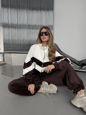 Велюровый спортивный костюм DMP-R1930T650