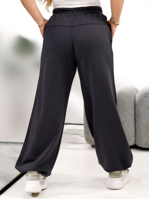 Спортивные брюки с лампасами ELR-A40821T650