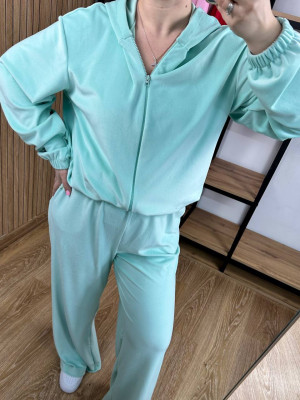 Велюровый спортивный костюм AB-A1856T20