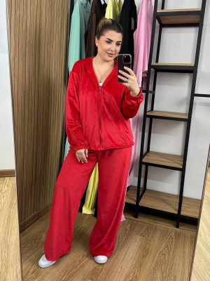 Велюровый спортивный костюм AB-A1856T20