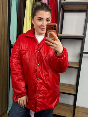 Демисезонная куртка AB-A1858T20