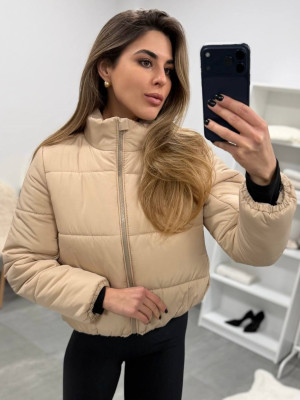 Женская демисезонная куртка DMP-P4269T550