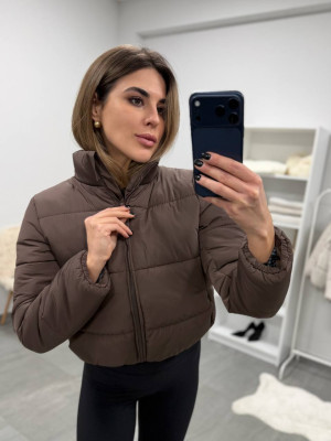 Женская демисезонная куртка DMP-P4269T550