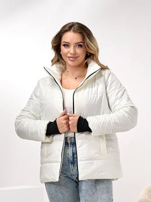 Демисезонная куртка DV-R4432T800